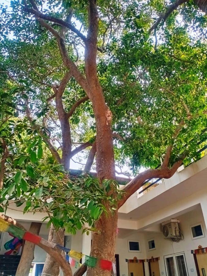 Green Hub Pushkar Villa Exterior foto